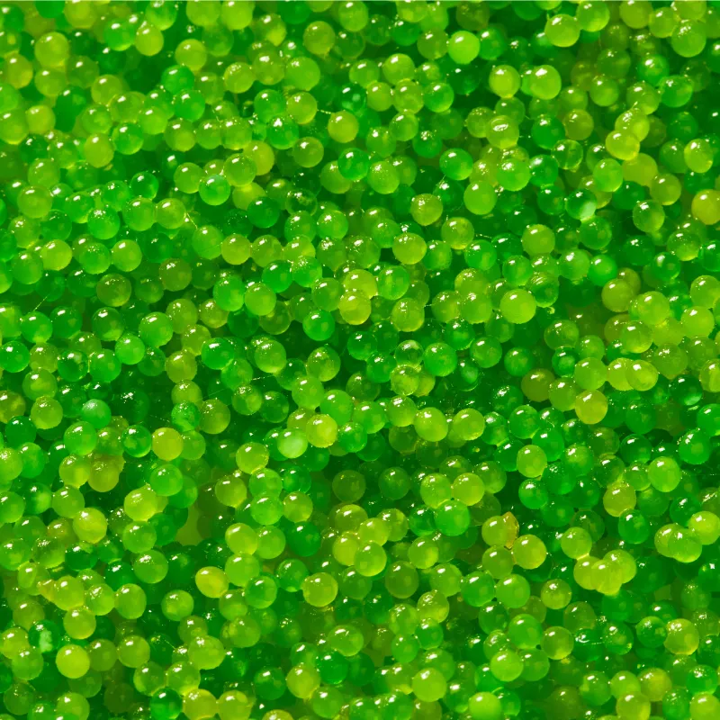 Tobiko wasabi - Sushi - Achat oeuf poisson volant - Kaviari