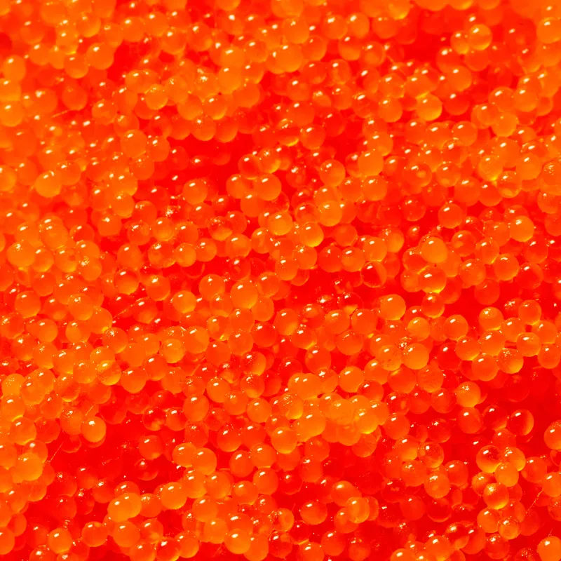 Tobiko orange - Achat œufs d'origines japonaises en ligne - Kaviari
